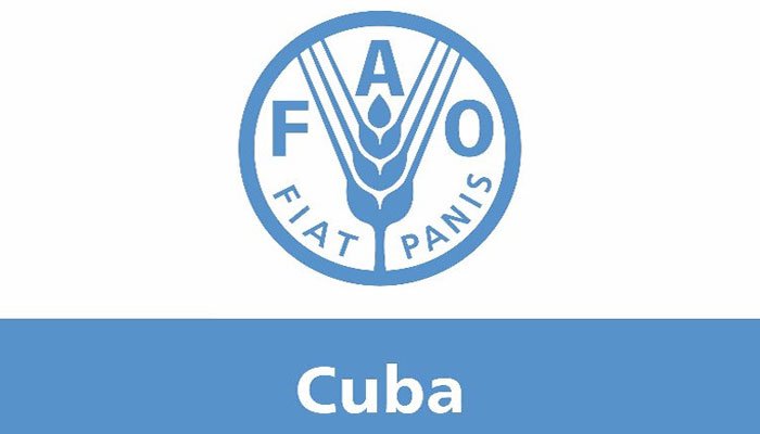 12828816-fao-cuba
